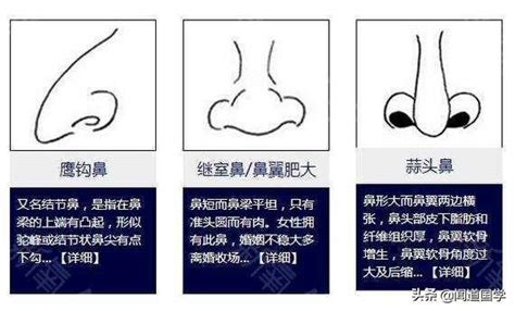 富貴鼻 面相|面相學之鼻型解析、全面解讀鼻子與命運